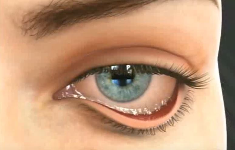 Выворот века