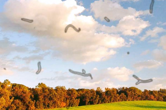 Витреолизис