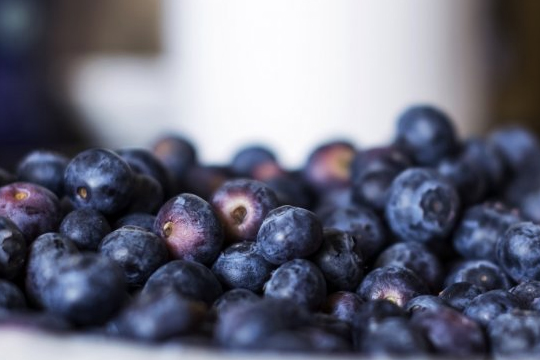 Мифы о зрении. Миф №1 - черника и морковь улучшают зрение