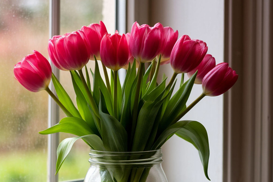 С Международным женским днем!