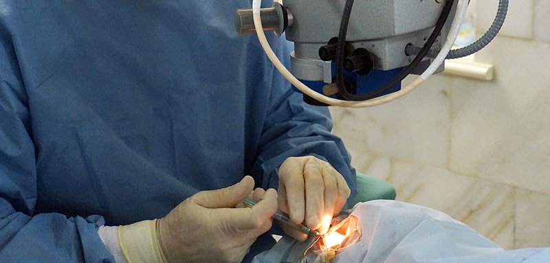 После 60 лет признаки помутнения хрусталика обнаруживаются у 90% людей, однако клинически значимые симптомы развиваются примерно у половины из них