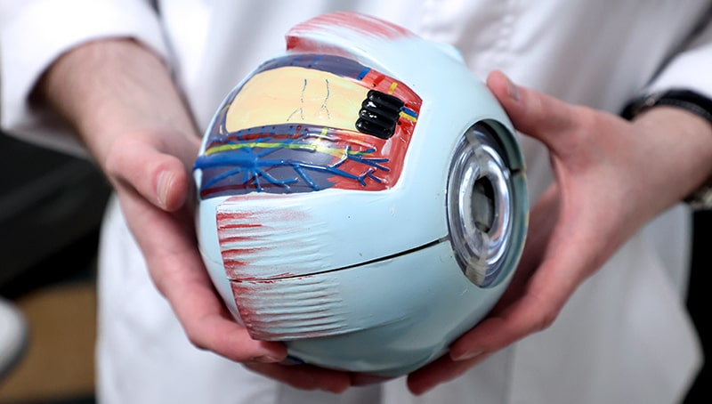 Рецидив отслоения развивается у 5-15% пациентов и может быть связан с формированием новых разрывов, неполным закрытием первичного разрыва или развитием пролиферативной витреоретинопатии