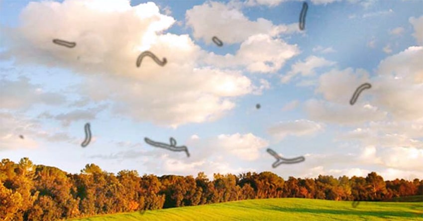 Витреолизис глазами пациента Витреолизис