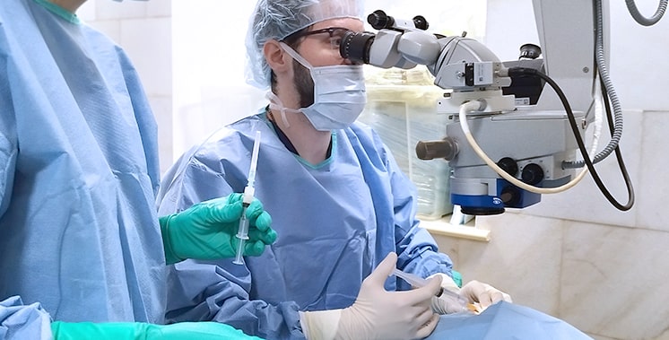 Применение внутриглазных инъекций медикаментозных агентов помогает стабилизировать структуру сетчатки и улучшает зрительные функции пациента Лечение дегенерации макулы