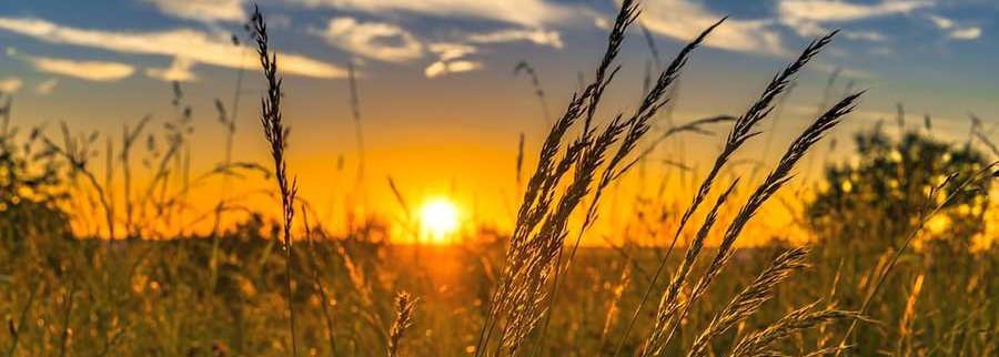 Что надо знать детям и их родителям о близорукости Что надо знать детям и их родителям о близорукости